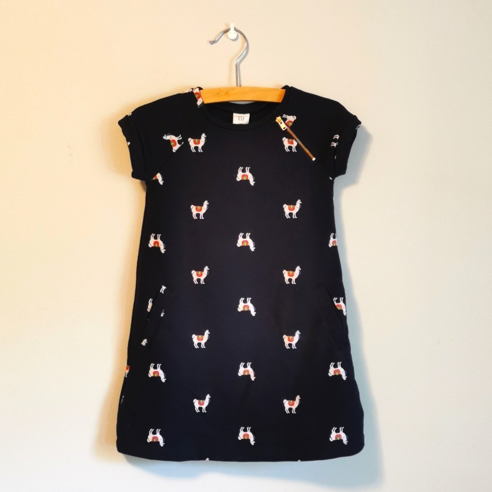 Baby Gap Alpaca 4T Dress with Pockets